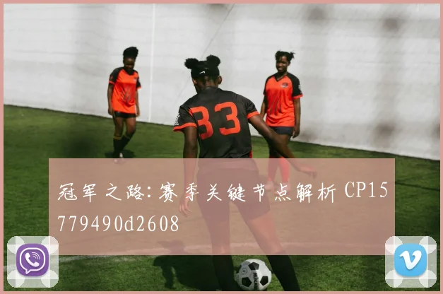 冠军之路:赛季关键节点解析 CP15779490d2608
