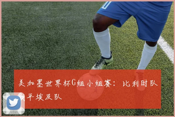 美加墨世界杯G组小组赛：比利时队战平埃及队